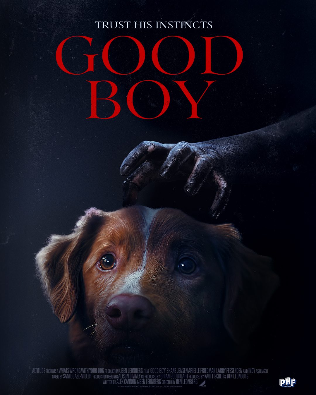 Good Boy poster
