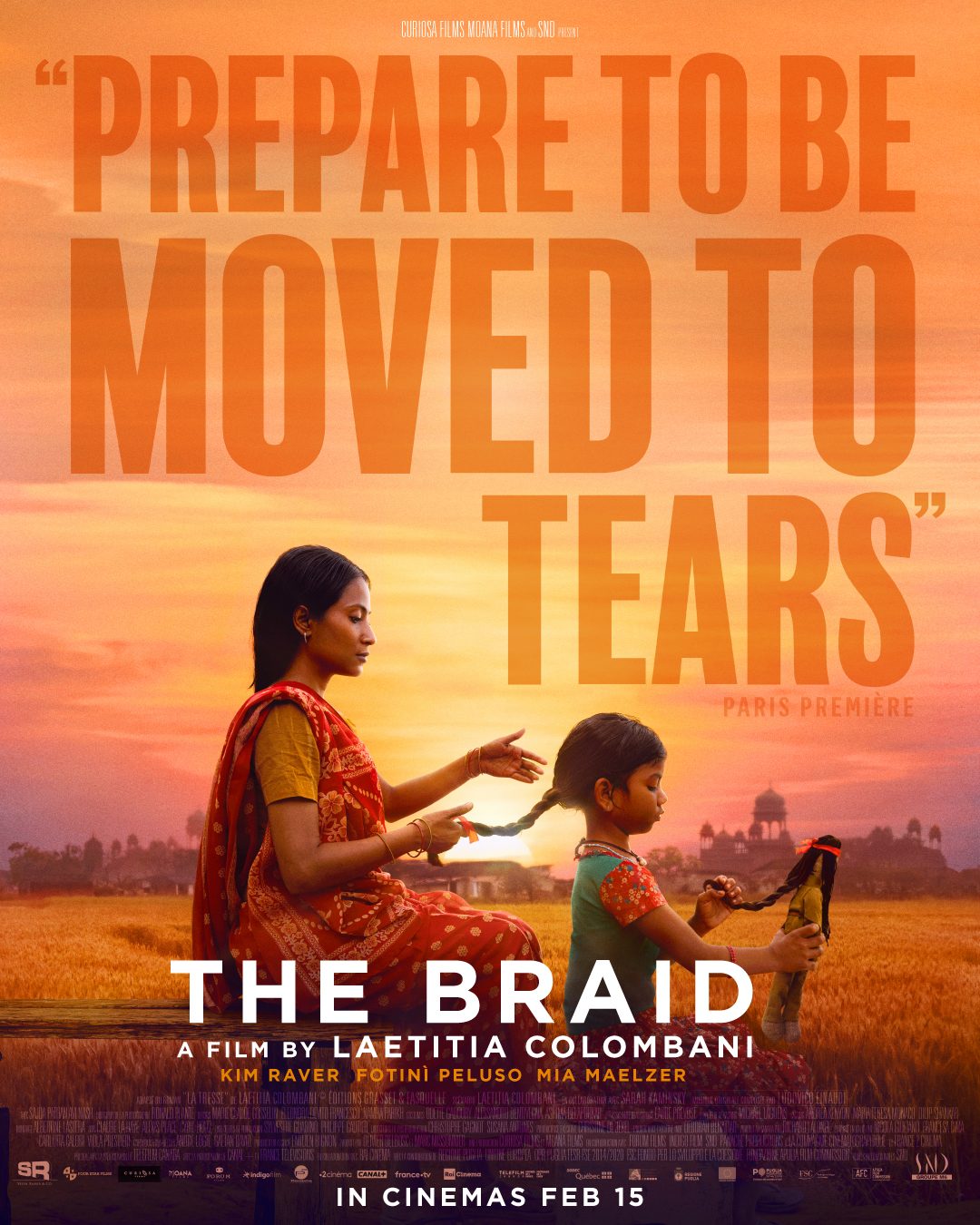 The Braid poster