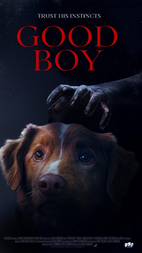 Good Boy key art