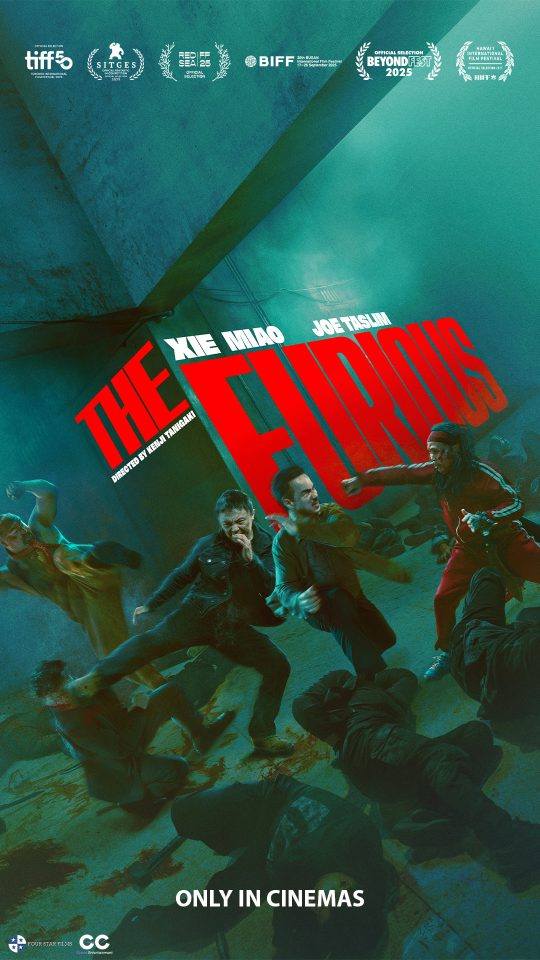 The Furious key art
