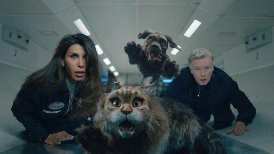 Cat & Dog still 2