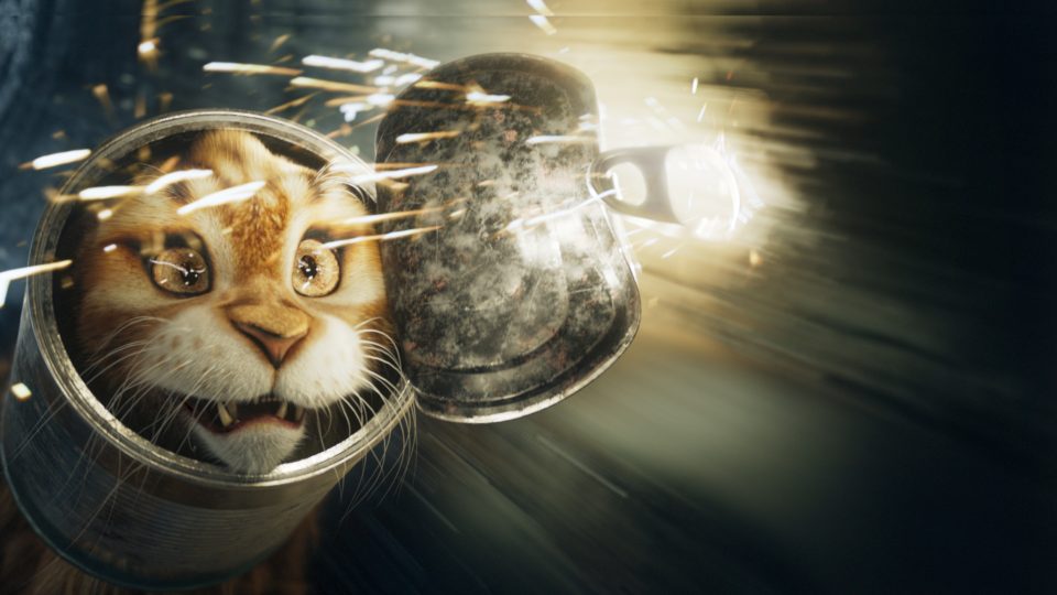Cat & Dog still 4