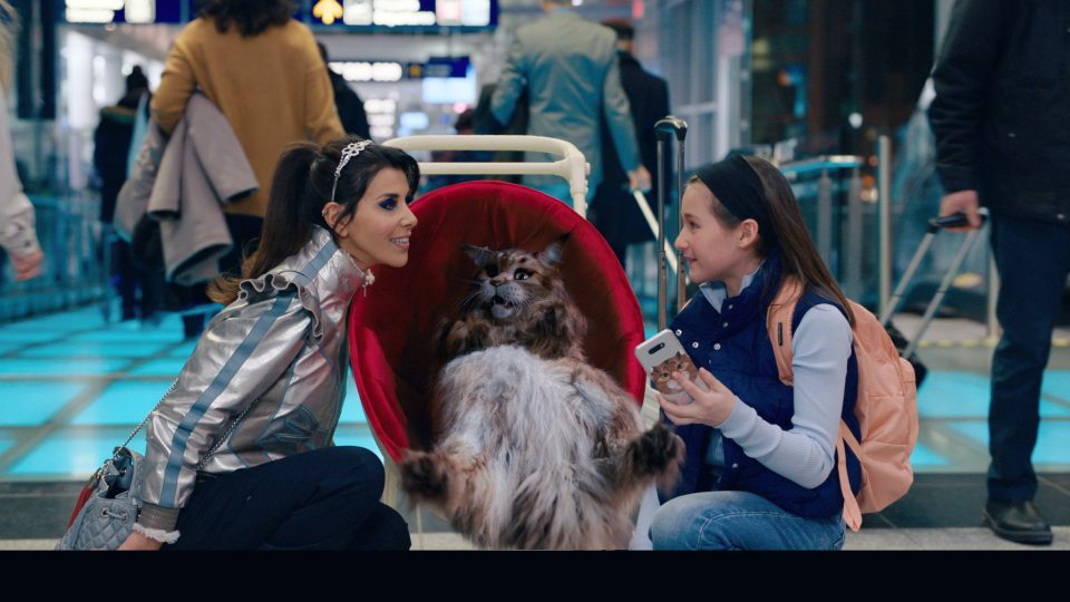 Cat & Dog still 3